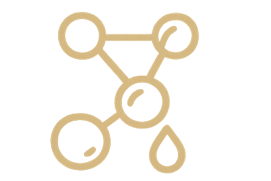 Our coconut-derived amino cleansers